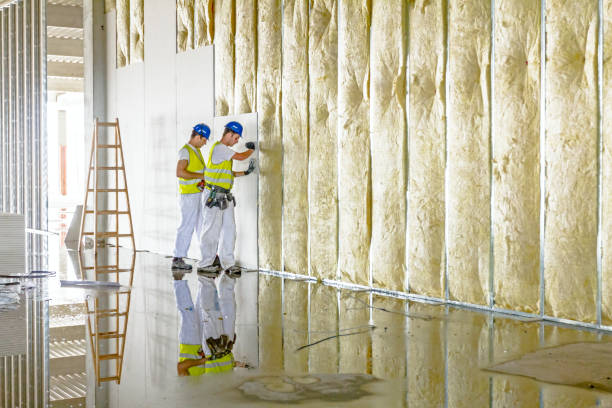 Best Commercial Insulation in Holland, TX